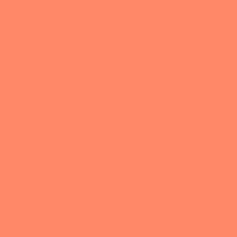 SOLIDS  -  Solids - Persimmon- CSFSESS - Tula Pink