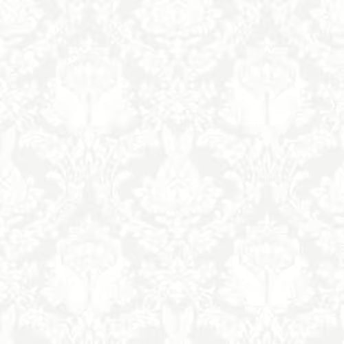 Tula Pink - True Colors - Paper - PWTP251