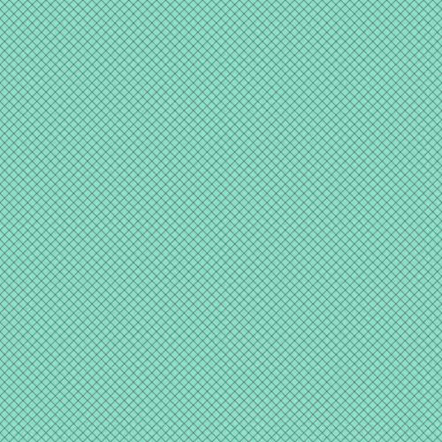 Tula Pink - True Colors - Raindrop - PWTP255